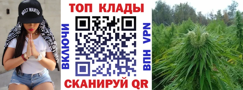 Купить наркотик аптеки Алупка Псилоцибиновые грибы  Cocaine  Меф  Марихуана  Гашиш  Амфетамин 