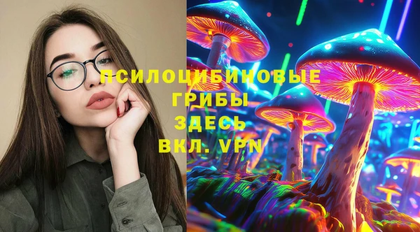 шишки Алексин