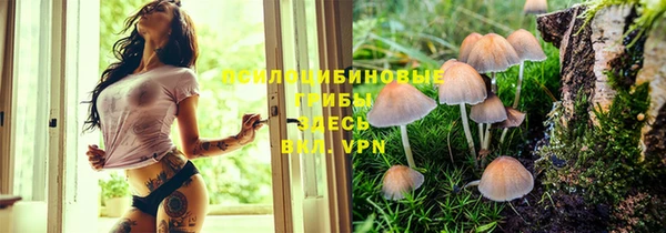 а пвп мука Алзамай