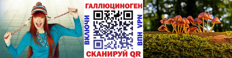 Псилоцибиновые грибы Psilocybe  Алупка 